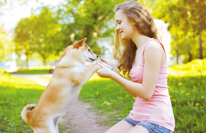 Dogs-Jump-to-Greet nuvet labs pet health tips and advices