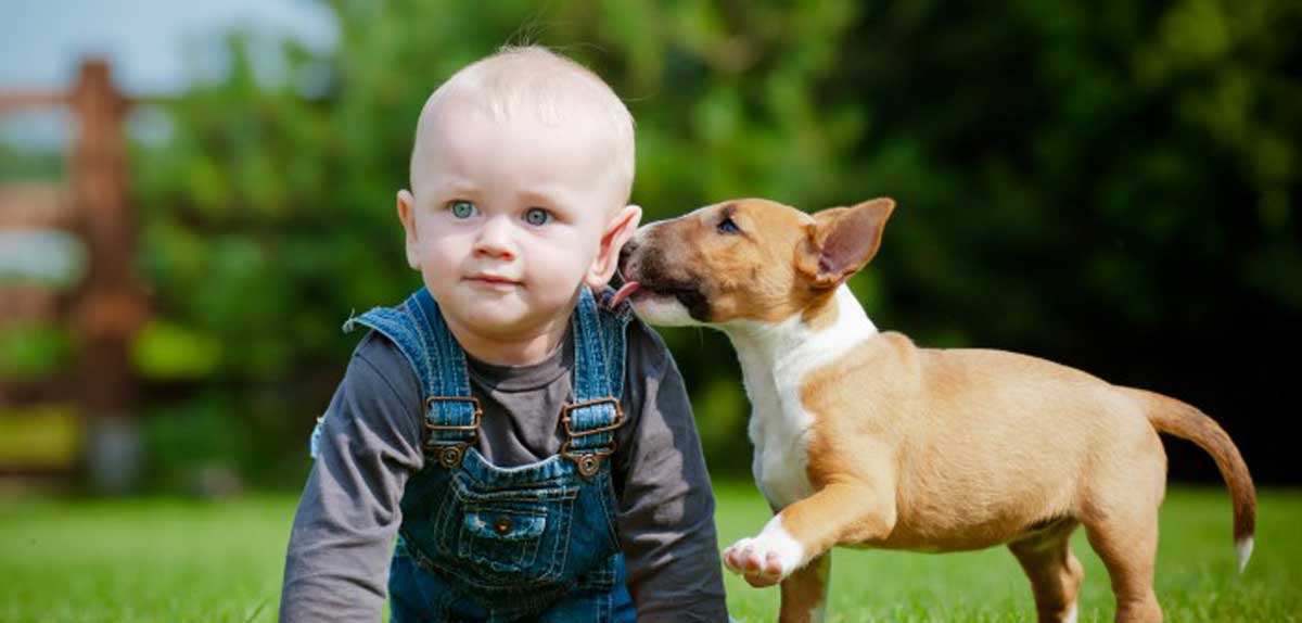 nuvet labs pet health tips and advices3