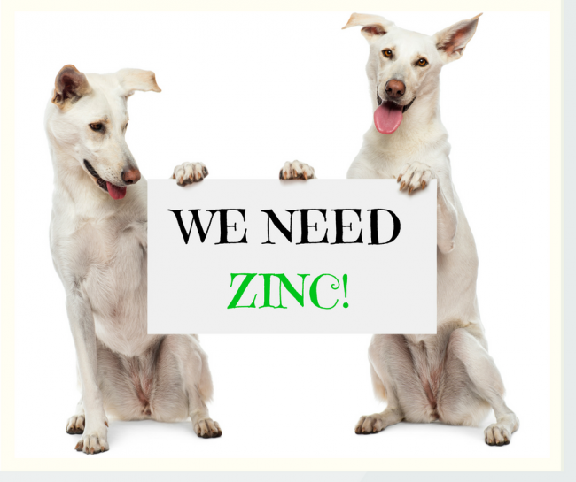 zinc, pet health, canine supplement