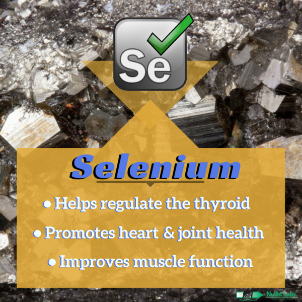 pet health, selenium