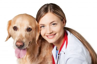 vet care nuvet labs dog health tips and advices