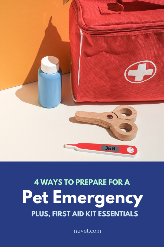 4 Ways to Prepare for a Pet Emergency. Plus, first aid kit essentials